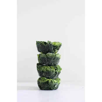 Frozen Spina ch (21)-8981982-73754.webp